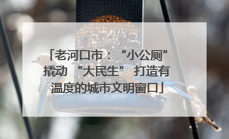 老河口市：“小公厕” 撬动 “大民生” 打造有温度的城市文明窗口