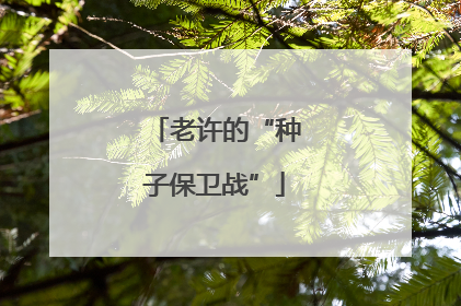 老许的“种子保卫战”