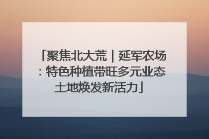 聚焦北大荒｜延军农场：特色种植带旺多元业态 土地焕发新活力
