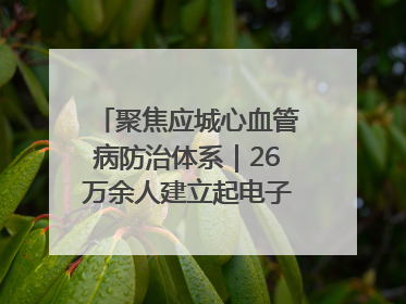 聚焦应城心血管病防治体系｜26万余人建立起电子健康档案