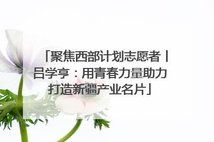 聚焦西部计划志愿者丨吕学亨：用青春力量助力打造新疆产业名片