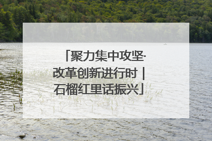 聚力集中攻坚·改革创新进行时｜石榴红里话振兴