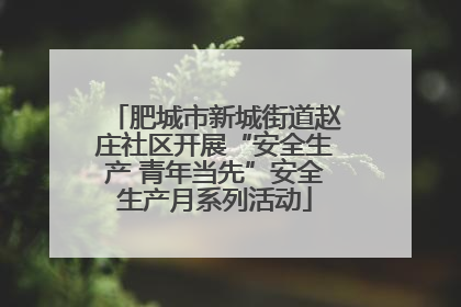肥城市新城街道赵庄社区开展“安全生产 青年当先”安全生产月系列活动