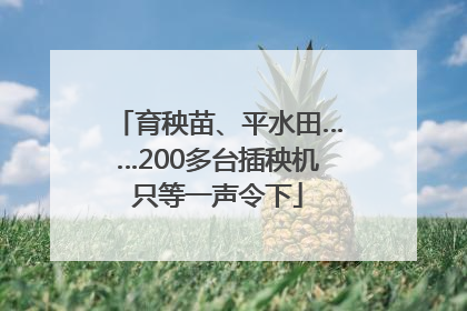 育秧苗、平水田……200多台插秧机只等一声令下