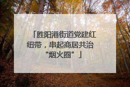 胜阳港街道党建红纽带，串起商居共治 “烟火圈”