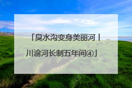 臭水沟变身美丽河丨川渝河长制五年间④