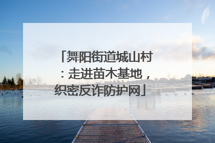 舞阳街道城山村：走进苗木基地，织密反诈防护网