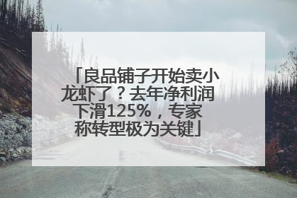 良品铺子开始卖小龙虾了？去年净利润下滑125%，专家称转型极为关键