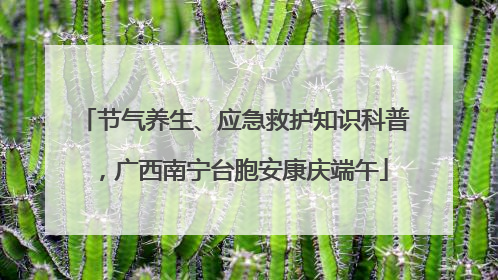 节气养生、应急救护知识科普，广西南宁台胞安康庆端午