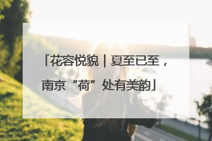 花容悦貌｜夏至已至，南京“荷”处有美韵