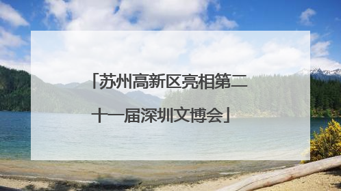 苏州高新区亮相第二十一届深圳文博会