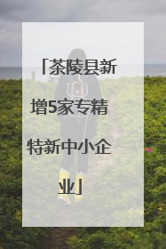 茶陵县新增5家专精特新中小企业