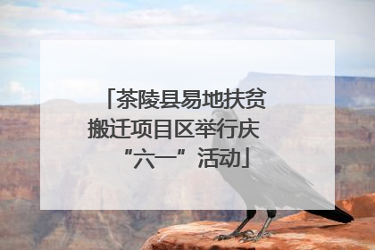 茶陵县易地扶贫搬迁项目区举行庆“六一”活动