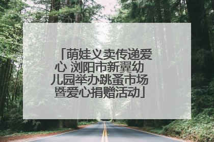 萌娃义卖传递爱心 浏阳市新翼幼儿园举办跳蚤市场暨爱心捐赠活动