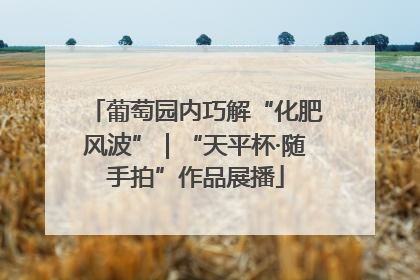 葡萄园内巧解“化肥风波”｜“天平杯·随手拍”作品展播