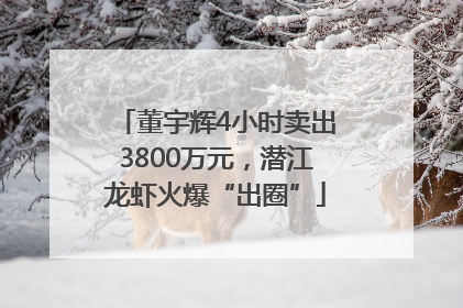 董宇辉4小时卖出3800万元，潜江龙虾火爆“出圈”