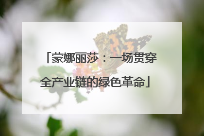 蒙娜丽莎：一场贯穿全产业链的绿色革命