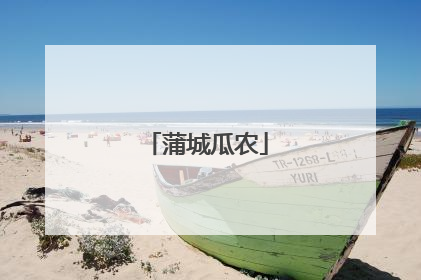 蒲城瓜农