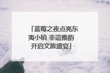 蓝莓之夜点亮东夷小镇 非遗雅韵开启文旅盛宴