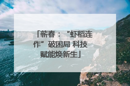 蕲春：“虾稻连作”破困局 科技赋能焕新生
