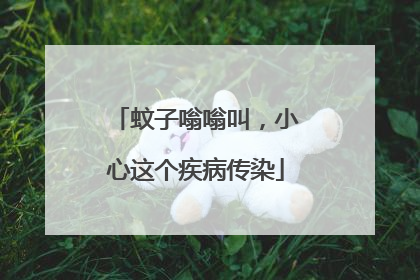 蚊子嗡嗡叫，小心这个疾病传染
