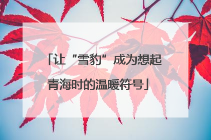 让“雪豹”成为想起青海时的温暖符号