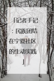 记者手记：民族团结在宁夏社区的生动实践