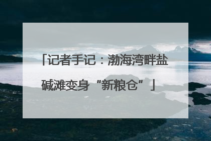 记者手记：渤海湾畔盐碱滩变身“新粮仓”