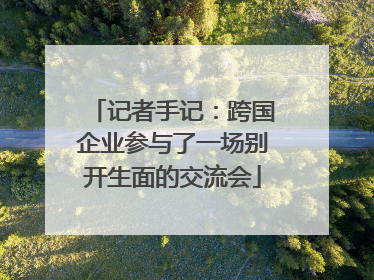 记者手记：跨国企业参与了一场别开生面的交流会