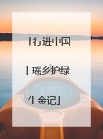 行进中国丨瑶乡护绿生金记