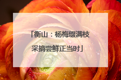 衡山：杨梅缀满枝 采摘尝鲜正当时
