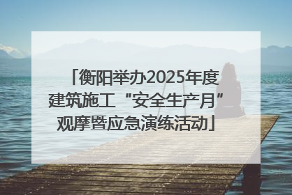 衡阳举办2025年度建筑施工“安全生产月”观摩暨应急演练活动