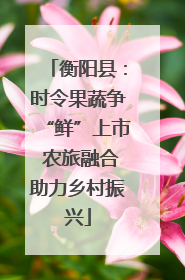 衡阳县：时令果蔬争“鲜”上市 农旅融合助力乡村振兴