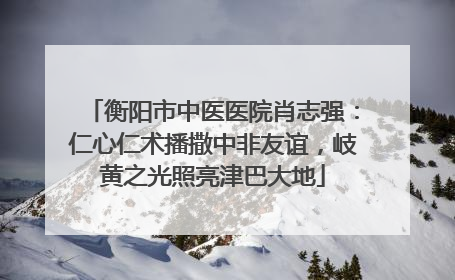 衡阳市中医医院肖志强：仁心仁术播撒中非友谊，岐黄之光照亮津巴大地