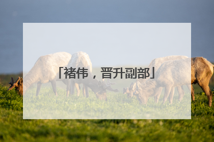褚伟，晋升副部