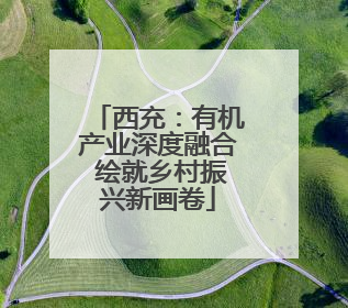 西充：有机产业深度融合 绘就乡村振兴新画卷