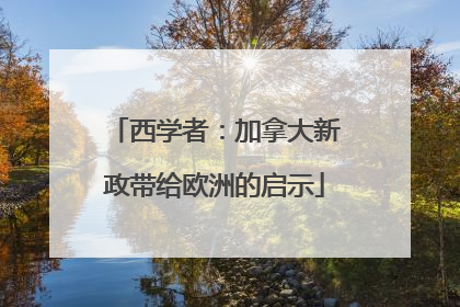 西学者：加拿大新政带给欧洲的启示