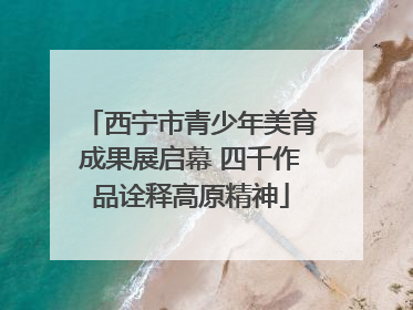 西宁市青少年美育成果展启幕 四千作品诠释高原精神