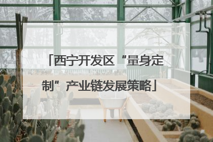 西宁开发区“量身定制”产业链发展策略