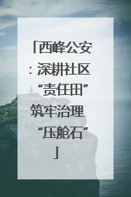 西峰公安：深耕社区“责任田” 筑牢治理“压舱石”