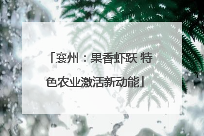 襄州：果香虾跃 特色农业激活新动能