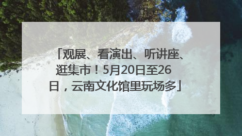 观展、看演出、听讲座、逛集市！5月20日至26日，云南文化馆里玩场多