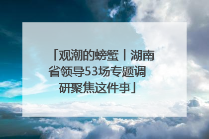 观潮的螃蟹丨湖南省领导53场专题调研聚焦这件事