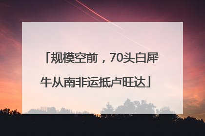 规模空前，70头白犀牛从南非运抵卢旺达