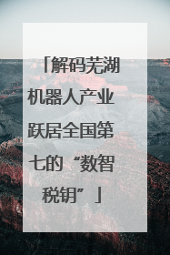 解码芜湖机器人产业跃居全国第七的“数智税钥”