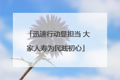 迅速行动显担当 大家人寿为民践初心