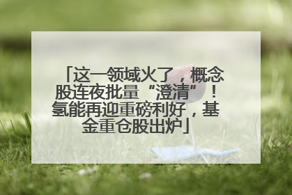这一领域火了，概念股连夜批量“澄清”！氢能再迎重磅利好，基金重仓股出炉