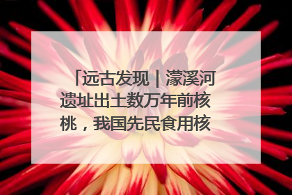 远古发现｜濛溪河遗址出土数万年前核桃，我国先民食用核桃历史大幅提前