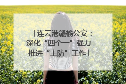 连云港赣榆公安：深化“四个一”强力推进“主防”工作