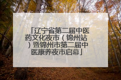 辽宁省第二届中医药文化夜市（锦州站）暨锦州市第二届中医康养夜市启幕